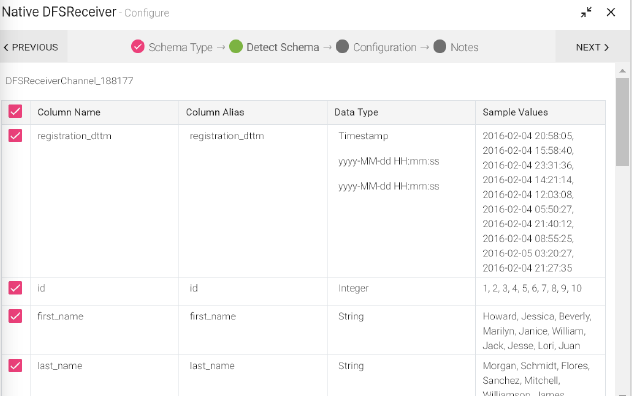 nativedfsDetectSchema.PNG