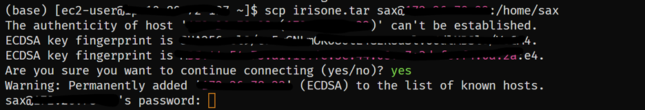 copy-docker-image-1