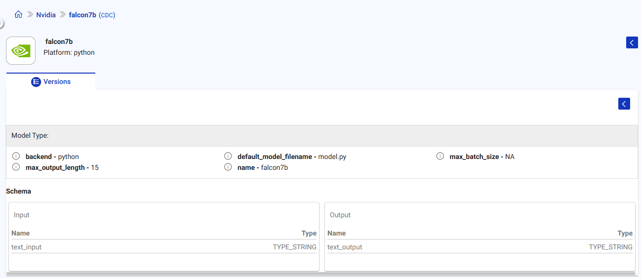 NVIDIA View Version Details