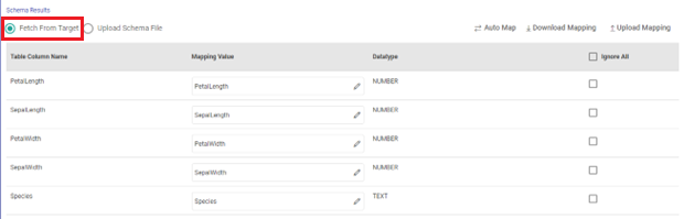 Snowflake_Target_Mapping-Existing_Table-Fetch_Tgt