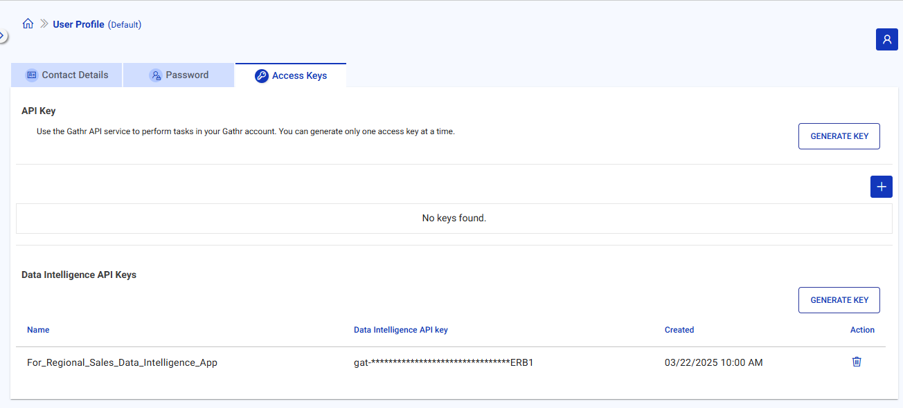Data Warehouse Intelligence API Keys - Saved
