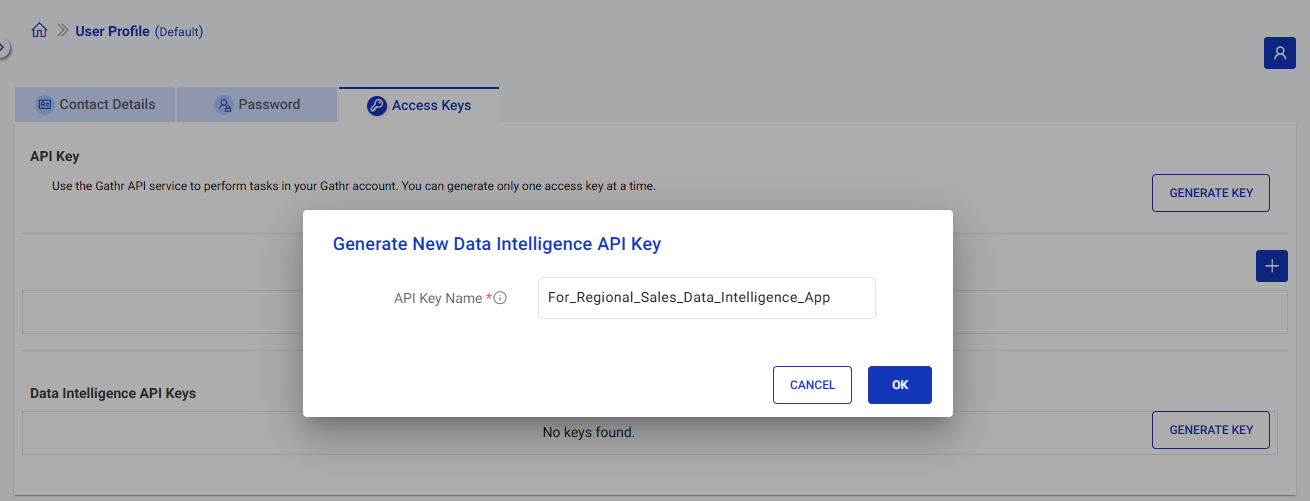 Data Warehouse Intelligence API Keys - Provide a Name